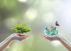 Educación Ambiental